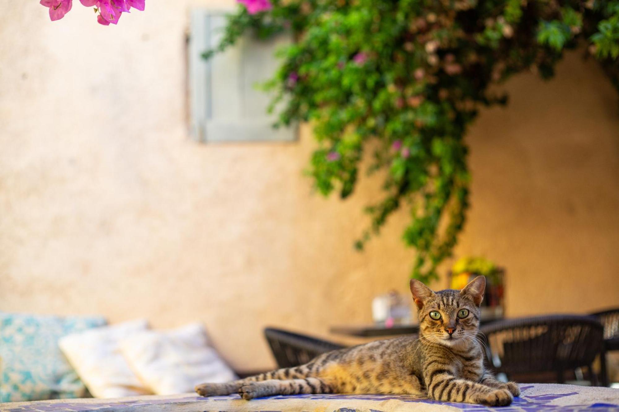 The Old Town House Apartment Rhodes City Luaran gambar